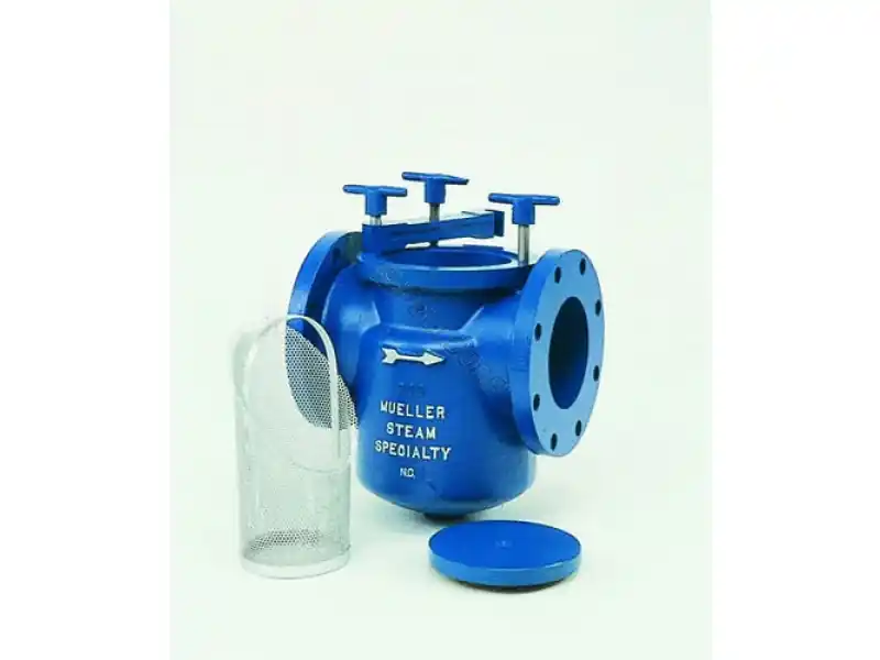 12" Mueller Epoxy Lined Strainer Big Sale