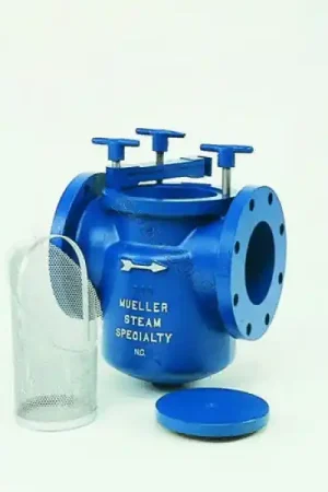 10" Mueller Epoxy Lined Strainer Price Cut