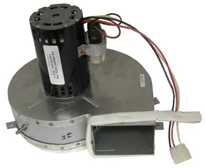 Hayward Combustion Blower 120Vac | IDXLBWR1931 Reduced Price