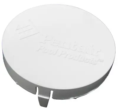 Pentair Logo Disk, White | 510161 Affordable