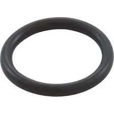 Order Now Speck Drain Plug O-Ring | 7300055006