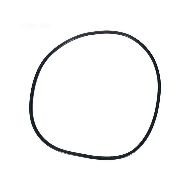 Pentair - Bulkhead O-ring Replacement Grab Now