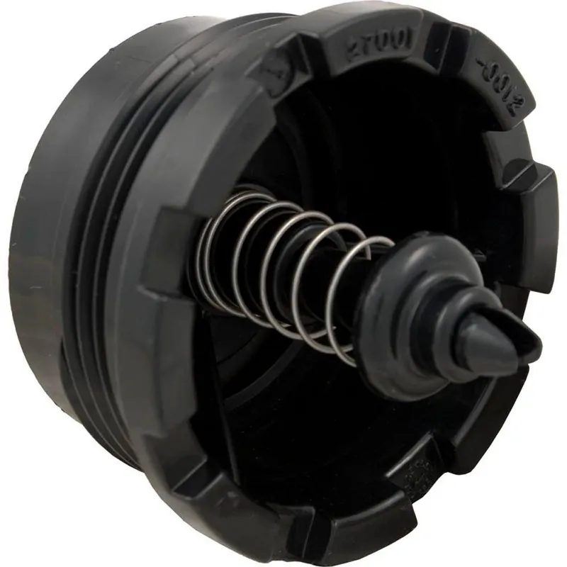 Pentair - Spring Check Valve Hassle-Free Returns